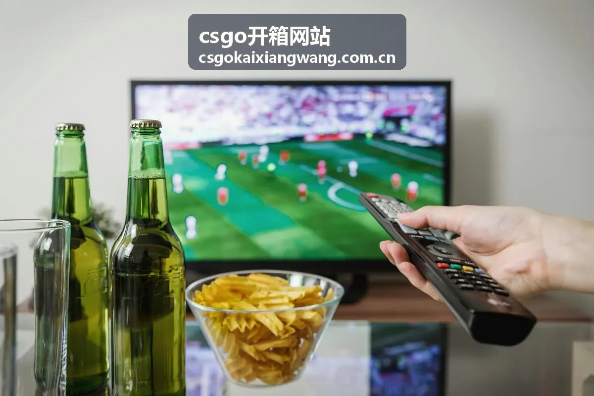 csgo开箱网站品牌介绍配图